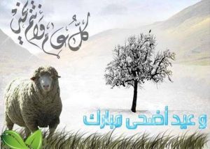 موعد عيد الأضحى المبارك في المغرب - سعودية نيوز