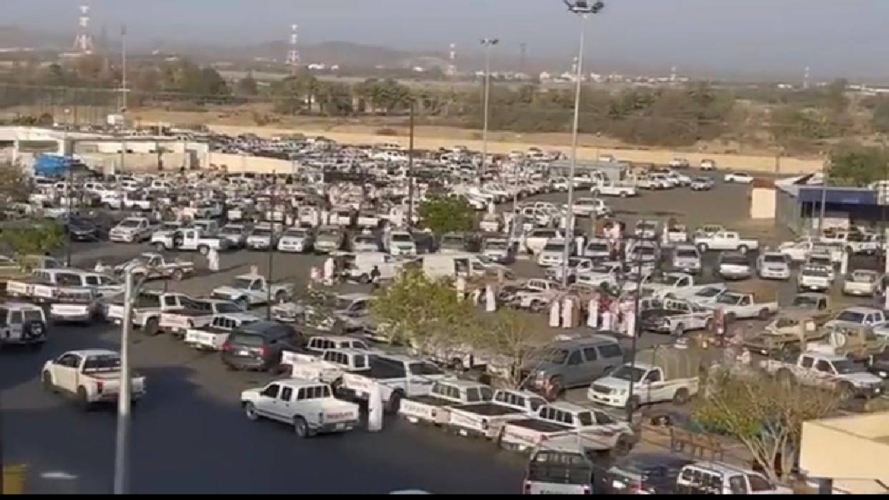 منع بيع المواشي في "سوق الودي