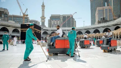 التخلص من نوى التمر