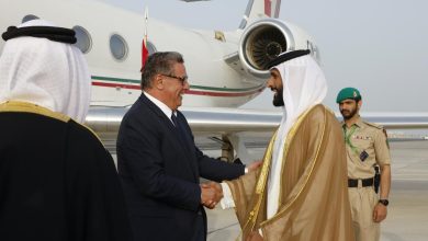 عزيز أخنوش