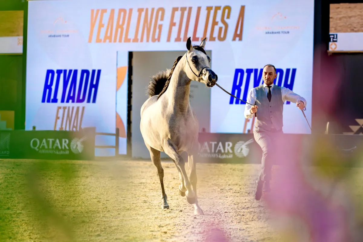 جولة الرياض 2025