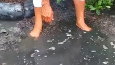 عين عذبة