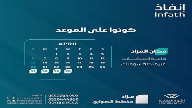 مخطط الصواري