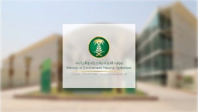 مزاد بيئة الرياض