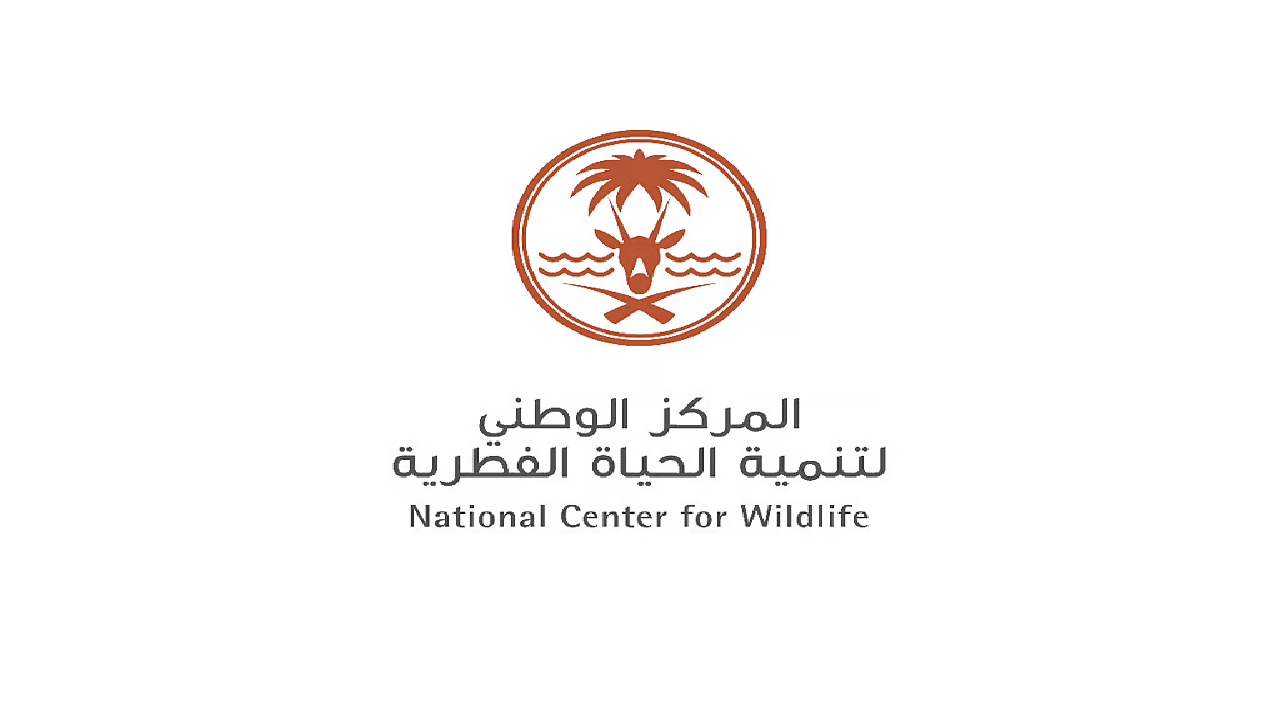 منتزه البيضاء بالمدينة المنورة
