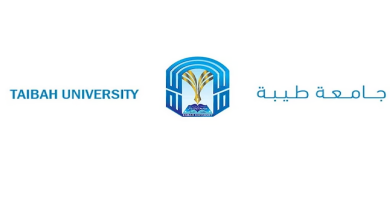 جامعة طيبة